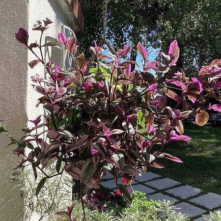 ホテル La Bricola カヴァッリーノ・トレポルティ エクステリア 写真